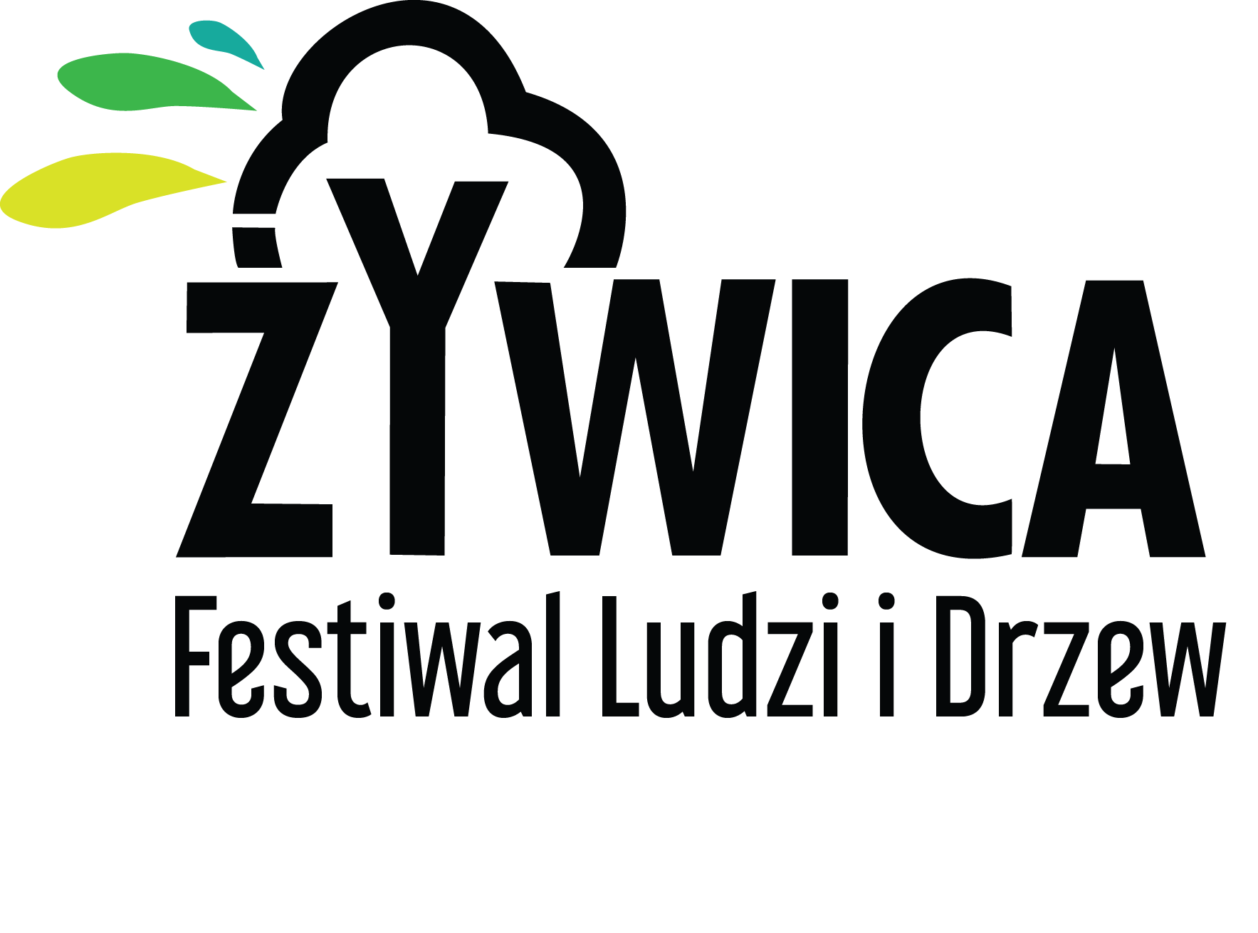 Festiwal Żywica
